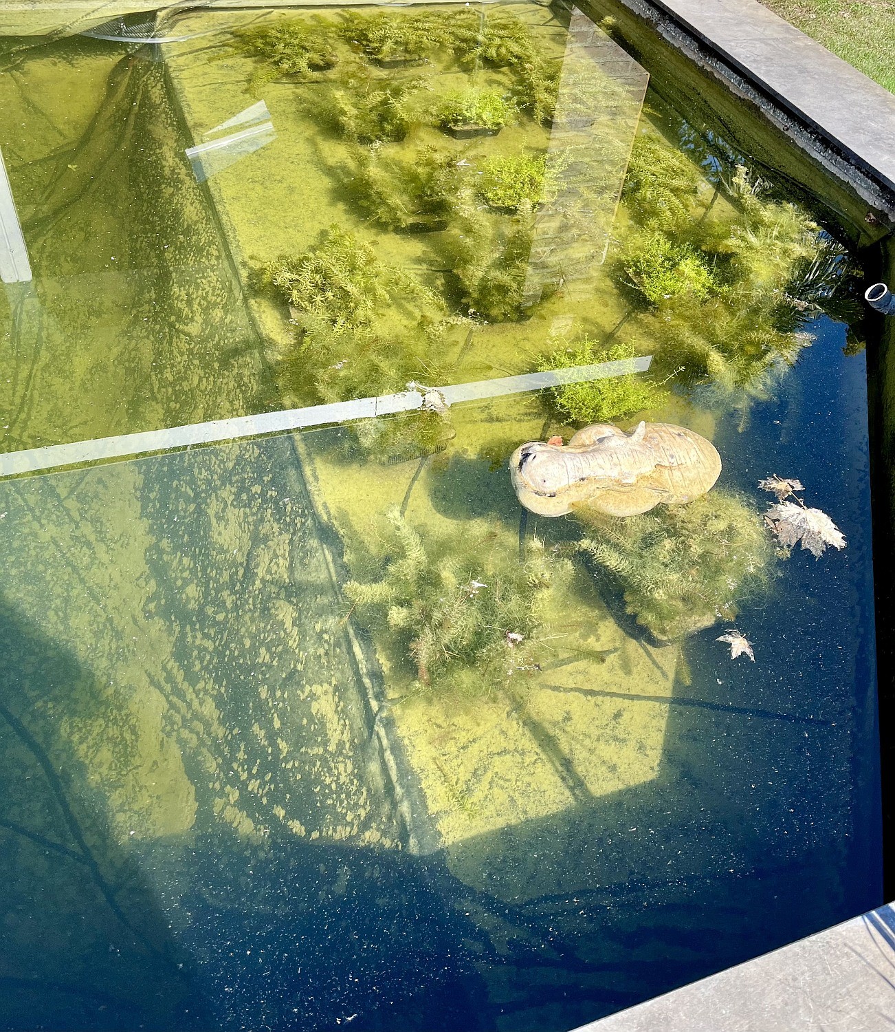 Voor het gebruik van Oxy-Boost