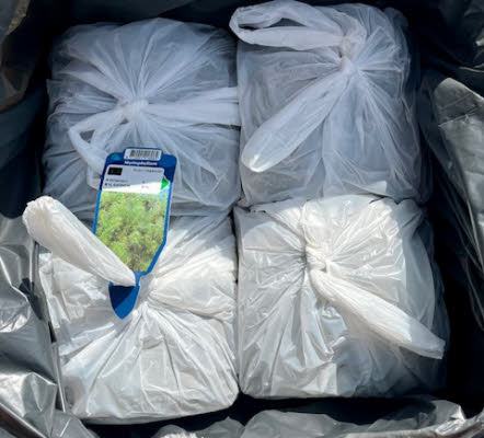 Zuurstofplanten Schonevijver