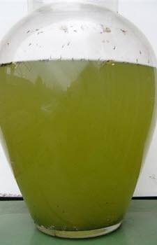 Foto van voor het toedienen van Glashelder