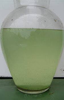 Resultaat Glashelder vijver