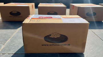 Complete vijverbeplanting