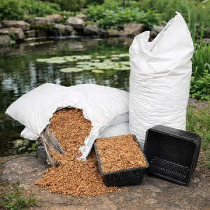 Vijveraarde schonevijver