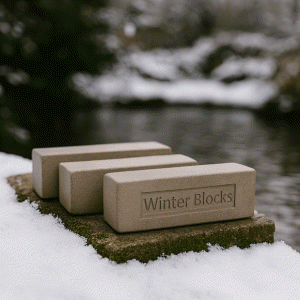 Winter Blocks vijver