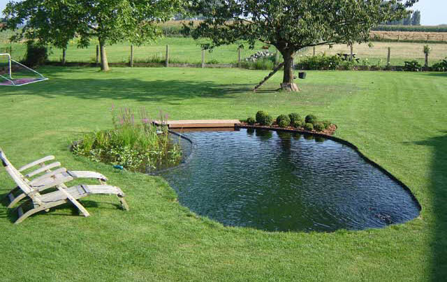 vijver zonder draadalgen